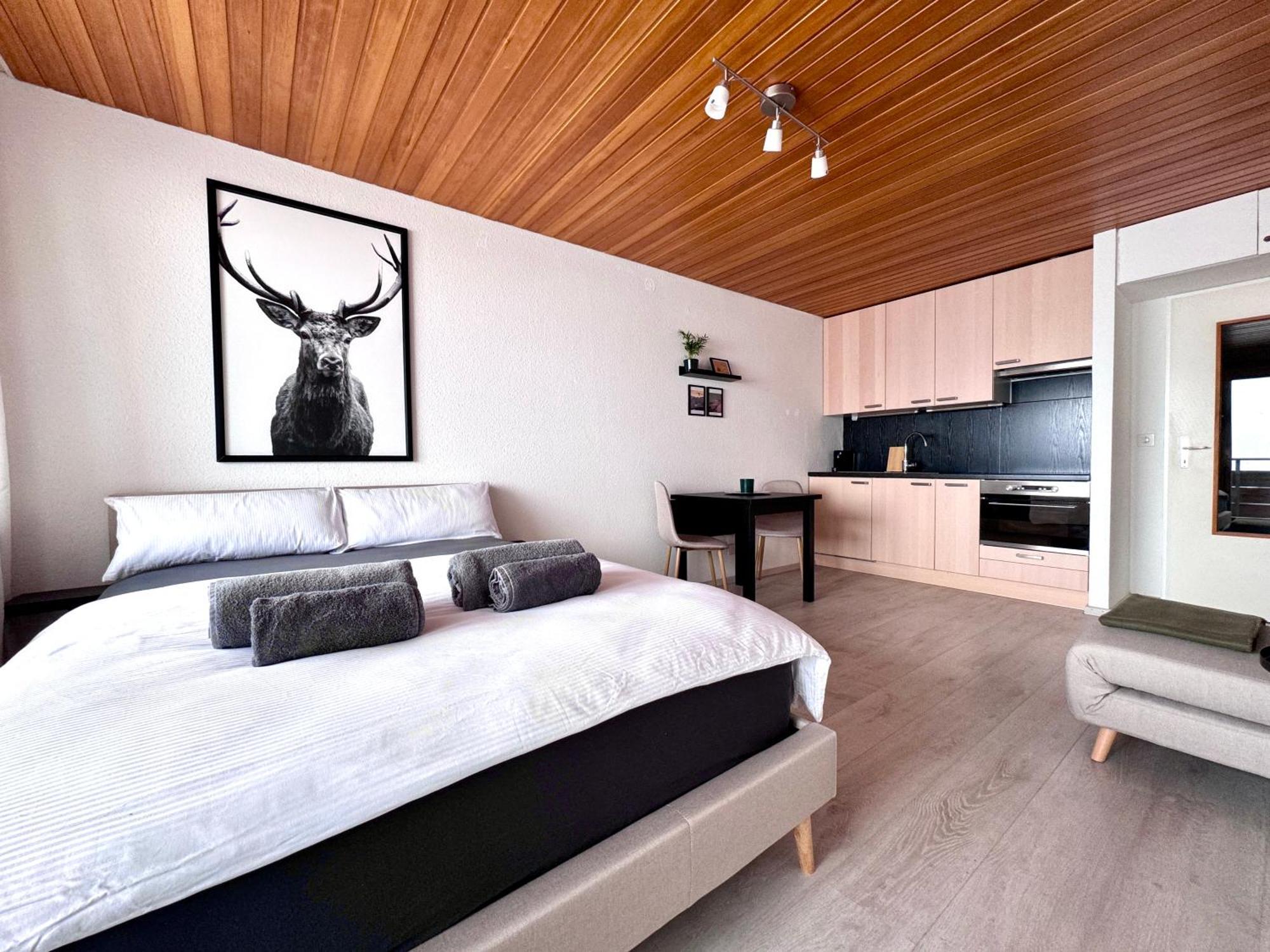 Studio Mit See- Und Bergblick 莱克斯 外观 照片